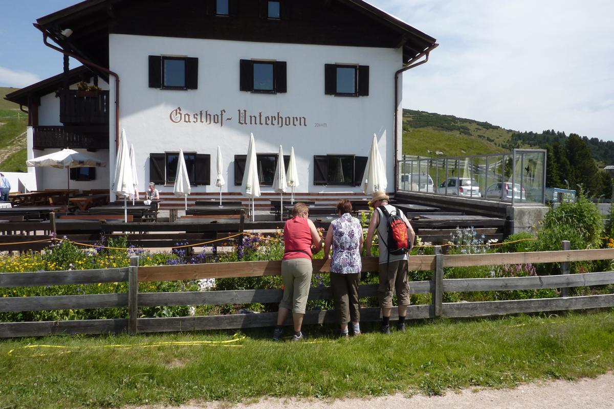 Platzer Alm 06.07.2015